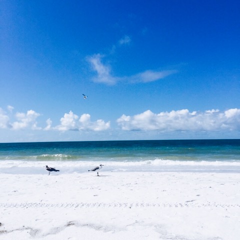Florida beaches